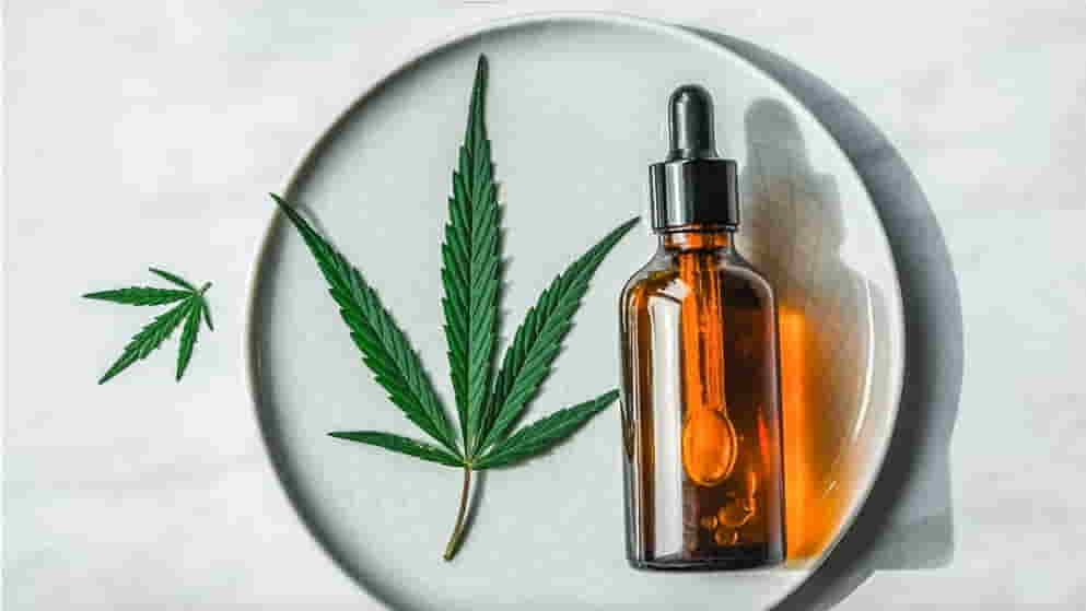 Cannabis Pflanze und Öl