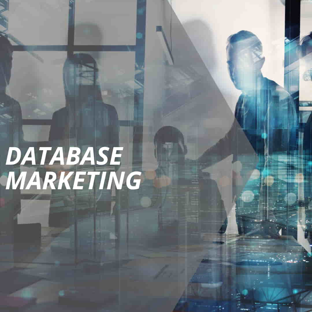 vertriebslexikon database marketing