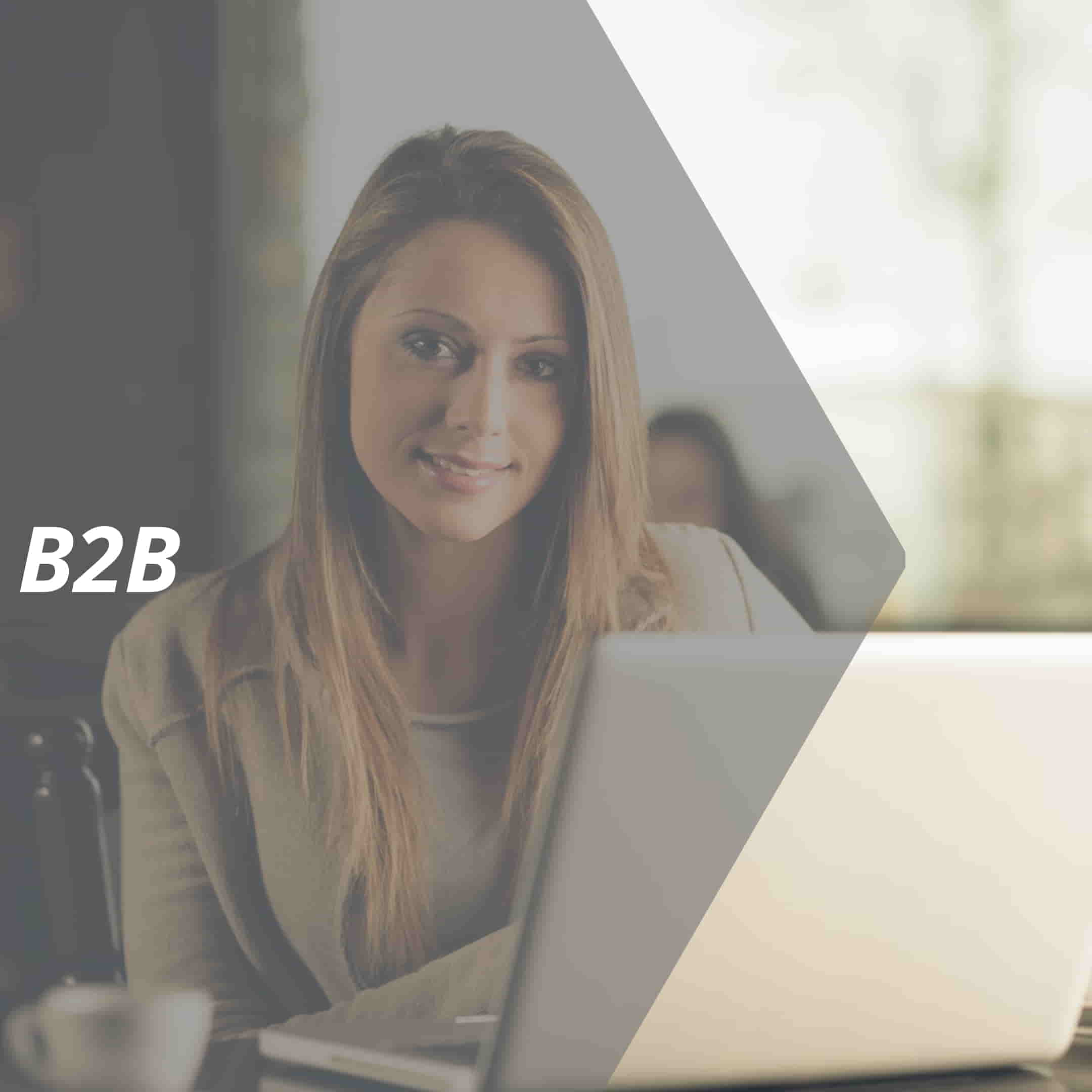 vertriebslexikon b2b