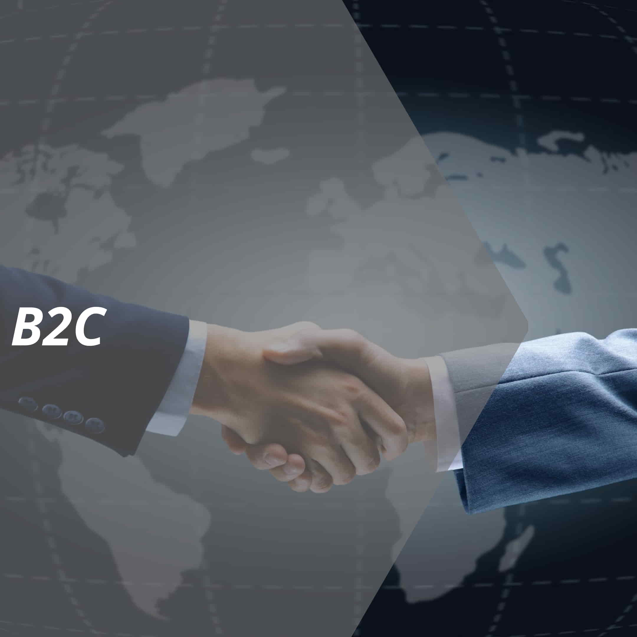 vertriebslexikon b2c
