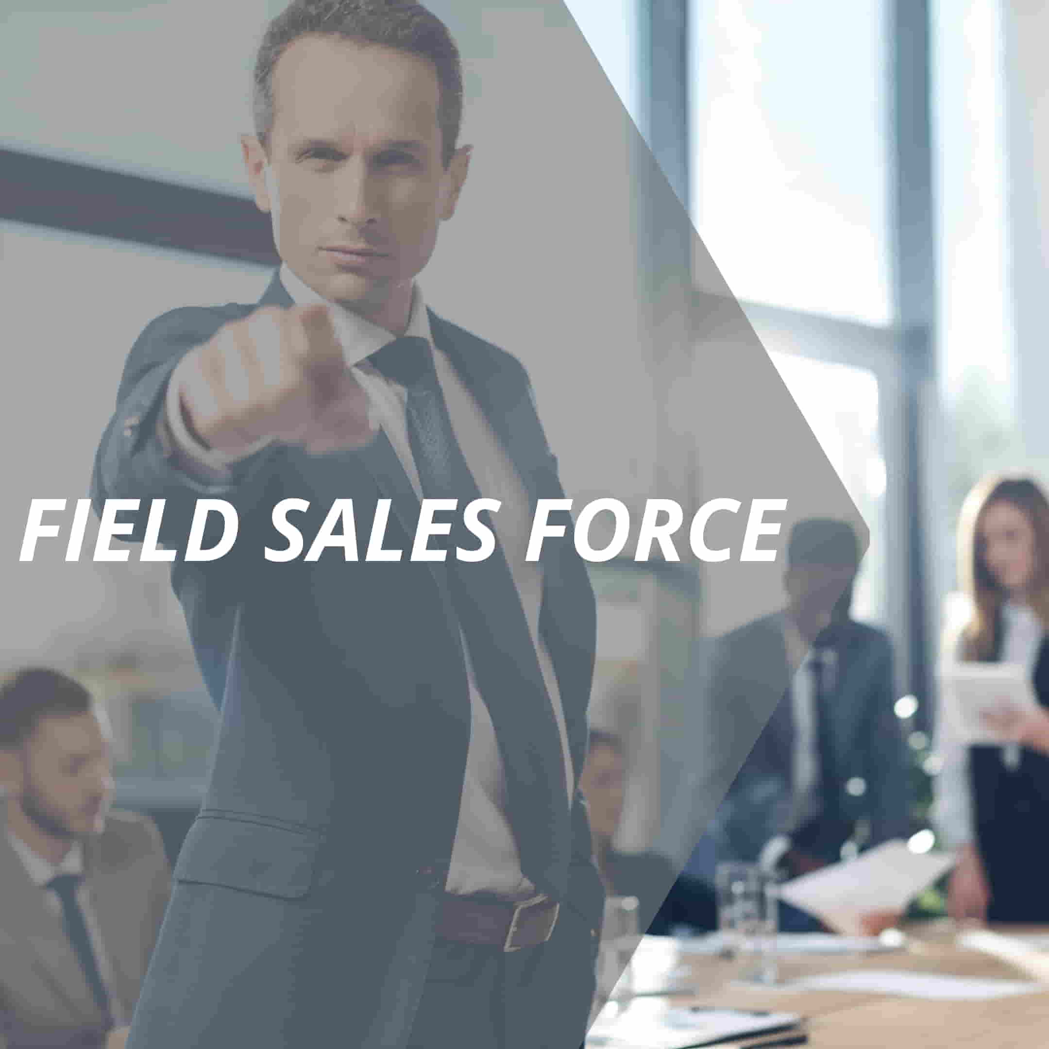 vertriebslexikon field sales force