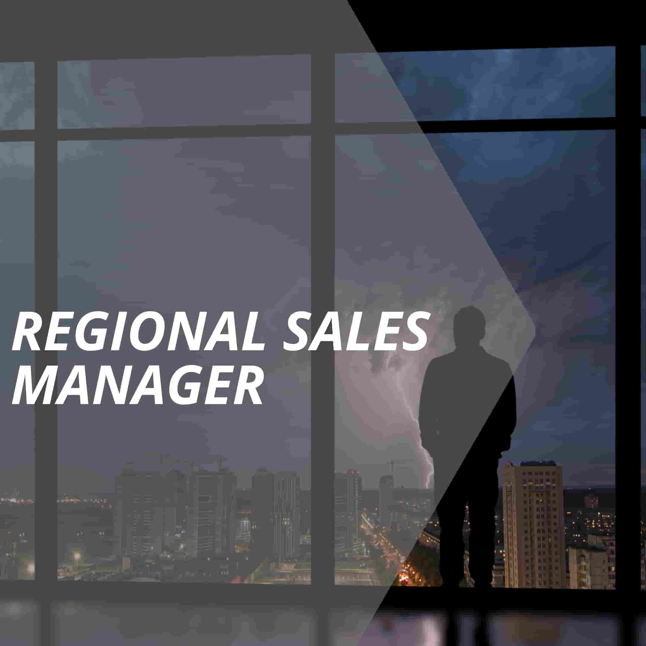 vertriebslexikon regional sales manager